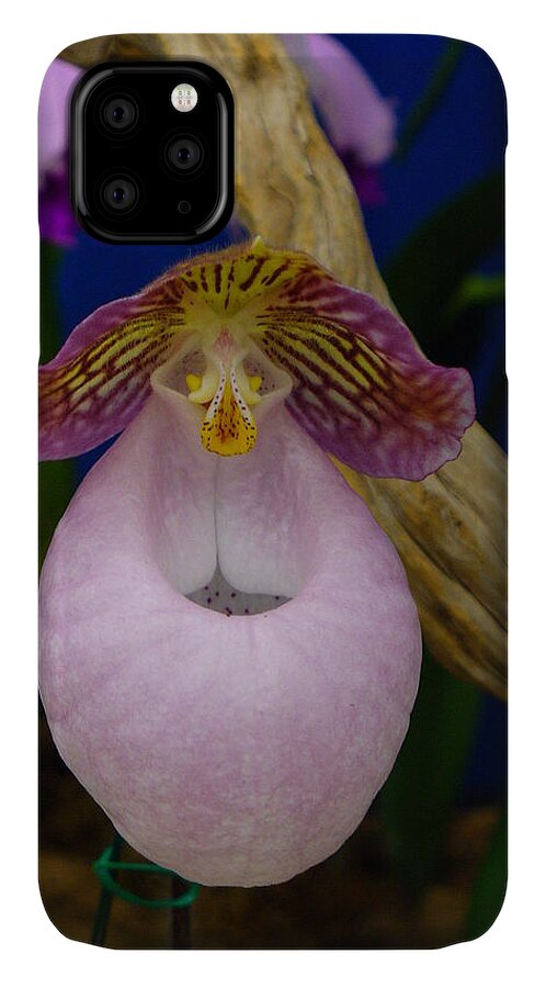 Orchid iPhone 11 Case featuring the photograph Orchid 1 by Peggy King