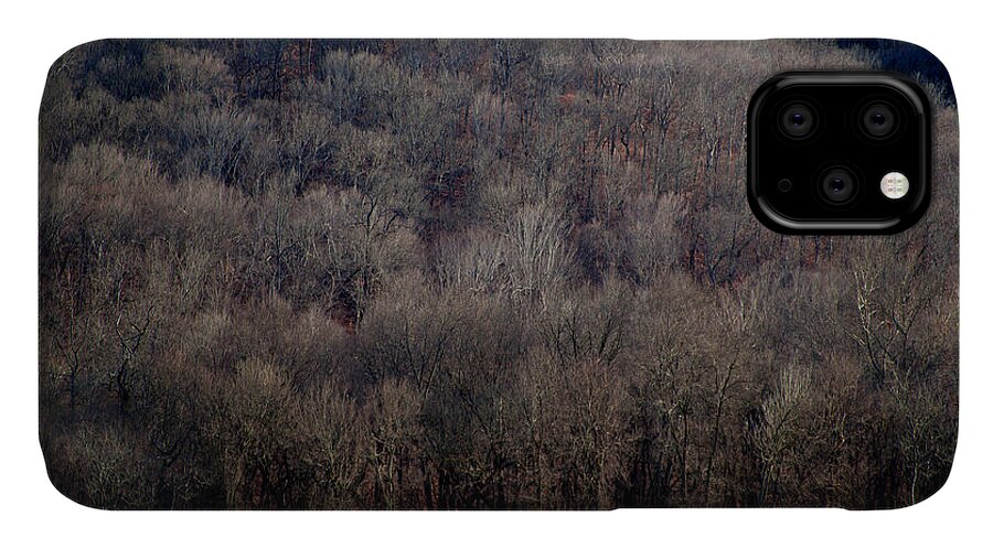 Tree Line iPhone 11 Case featuring the photograph Ozarks Trees by David Chasey