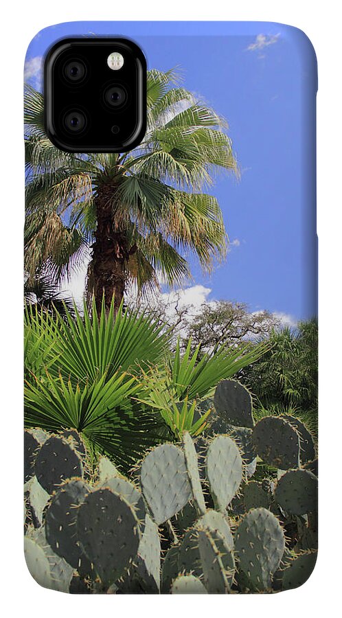 Palm Trees iPhone 11 Case featuring the photograph Palm Trees and Cactus by Angela Murdock