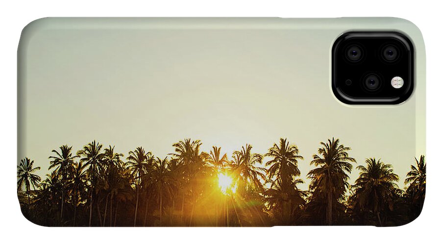 Surfing iPhone 11 Case featuring the photograph Palms And Rays by Nik West
