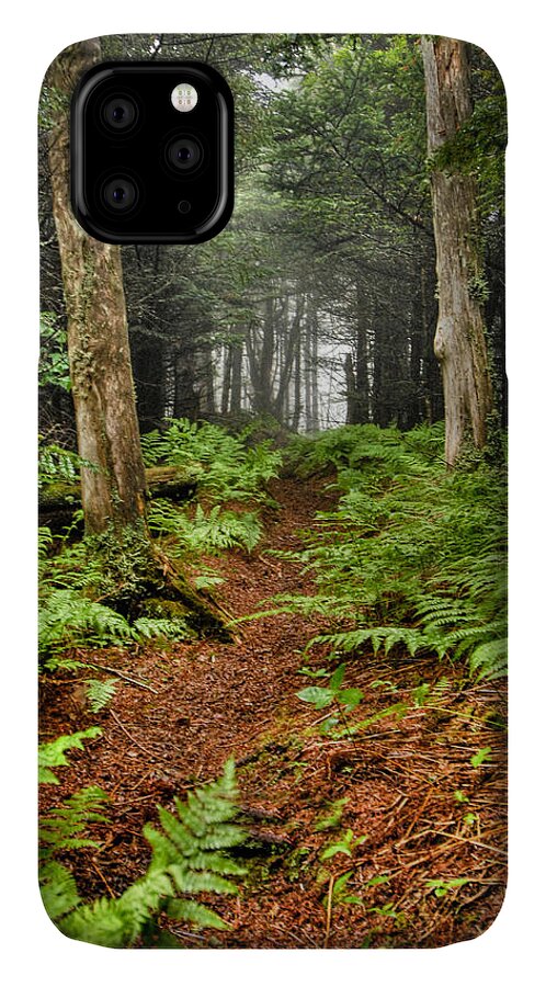 Landscape iPhone 11 Case featuring the photograph Path in the Ferns by Joye Ardyn Durham