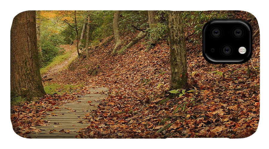 Landscape iPhone 11 Case featuring the photograph Path to Autumn by Travis Rogers