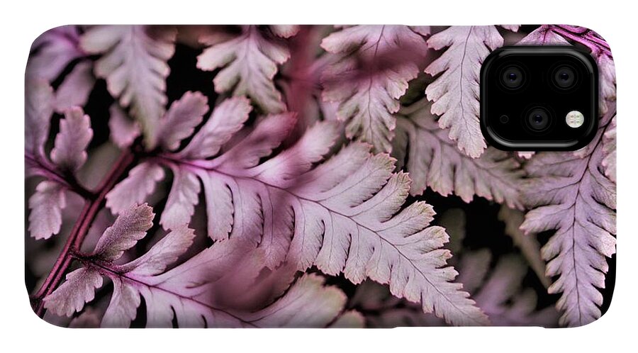 Pink iPhone 11 Case featuring the photograph Pink Fern by Tracey Lee Cassin