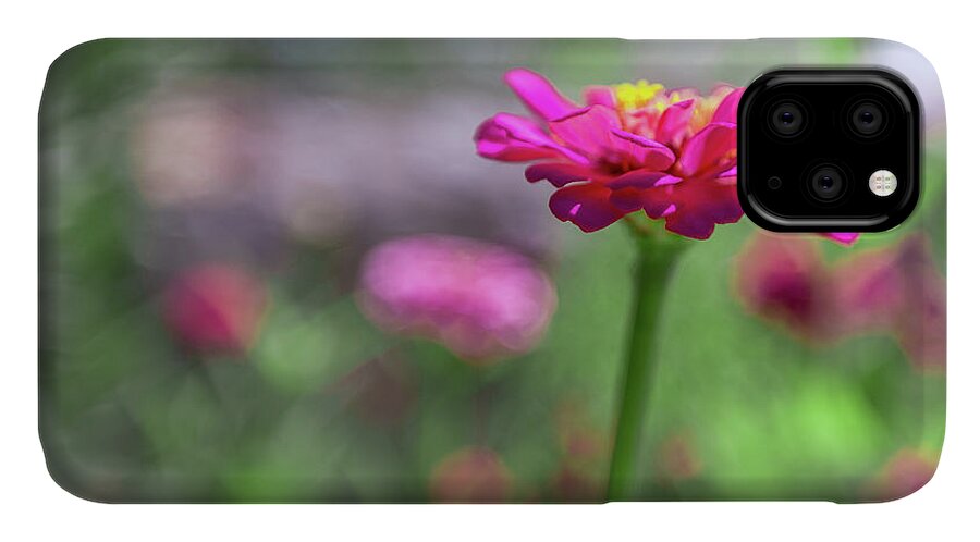 Aperture iPhone 11 Case featuring the photograph Pink Zinnia by SR Green
