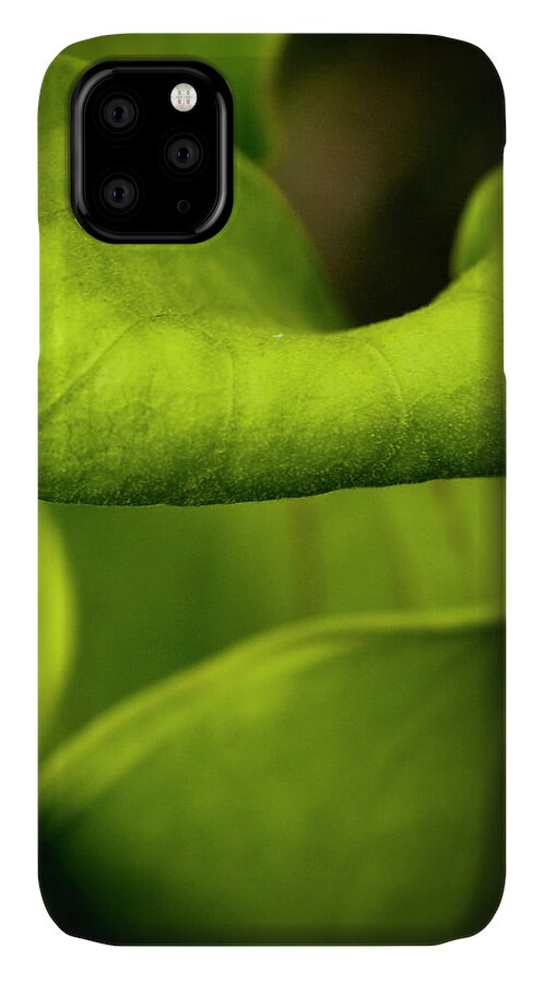 Pitcher iPhone 11 Case featuring the photograph Pitcher Plant Abstract by Bob Decker