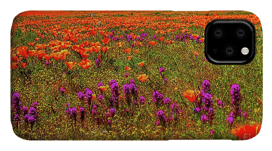 Wild Flowers iPhone 11 Case featuring the photograph Poppies by Mark Jackson