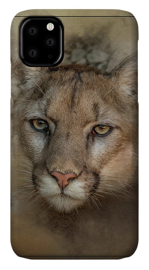 Wildlife iPhone 11 Case featuring the photograph Portrait of Cruz by Teresa Wilson