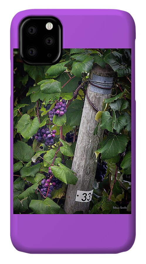 Vineyard iPhone 11 Case featuring the photograph Post 33 by Rebecca Samler