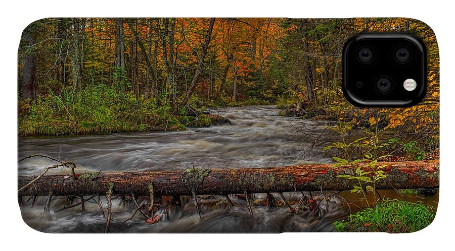 Prairie River iPhone 11 Case featuring the photograph Prairie River Tree Crossing by Dale Kauzlaric