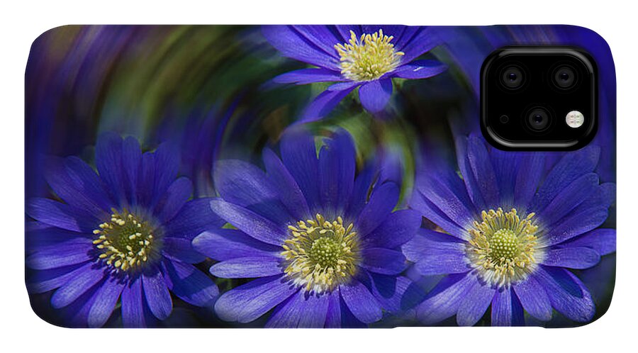 Anemone Blanda iPhone 11 Case featuring the photograph Purple in Nature by Milena Ilieva