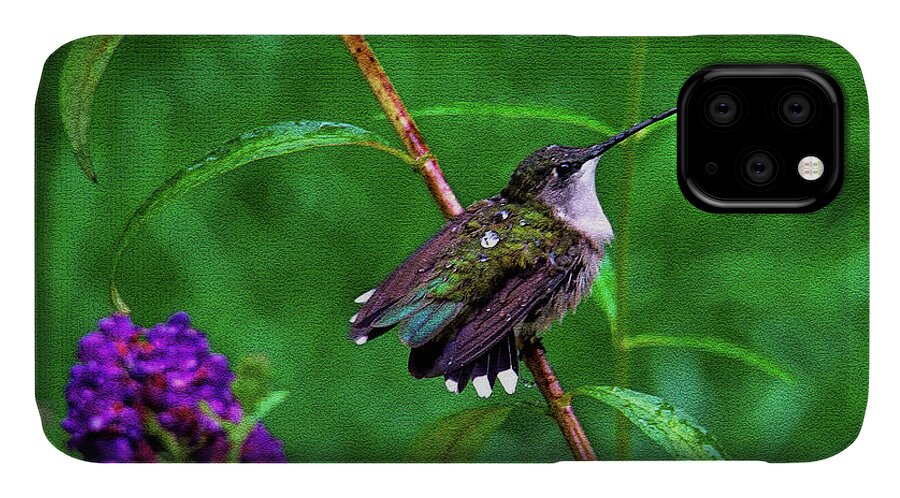 Hummingbird iPhone 11 Case featuring the photograph Rain Drops Keep Fallen on My Head by Sue Melvin