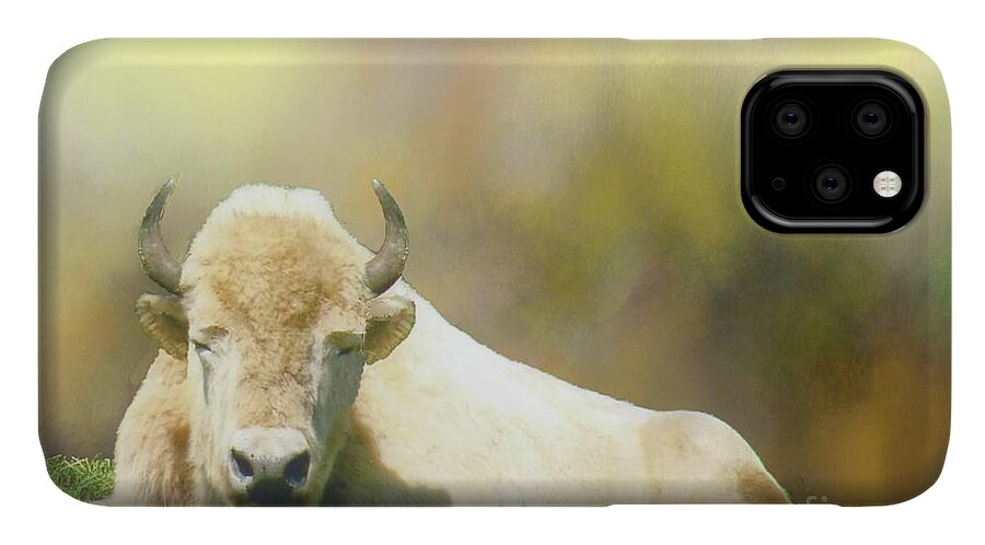 Buffalo iPhone 11 Case featuring the photograph Rare White Buffalo by Janette Boyd
