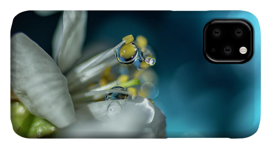 Macro iPhone 11 Case featuring the photograph Reaching into the Blue by Wolfgang Stocker