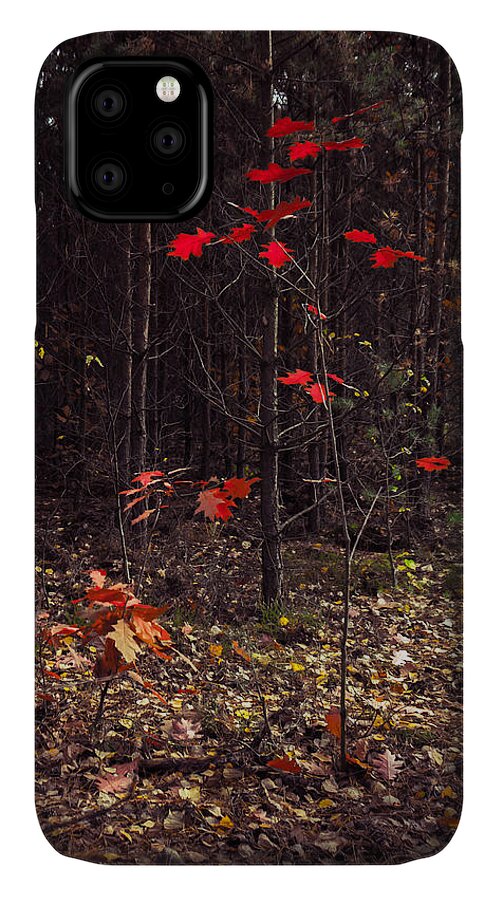 Fall iPhone 11 Case featuring the photograph Red drops by Dmytro Korol