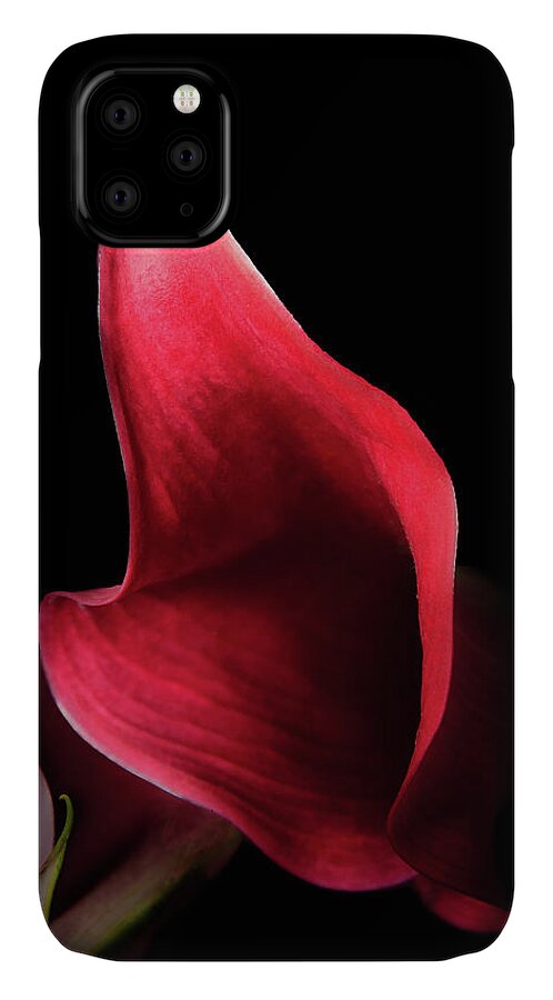 10th Anniversary iPhone 11 Case featuring the photograph Red Passion on Black by Joni Eskridge