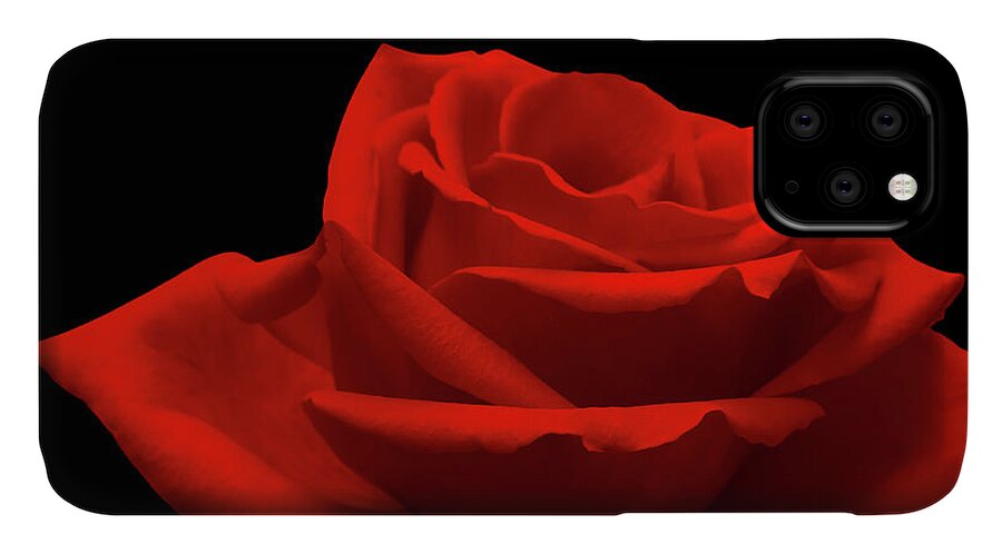 Red Rose iPhone 11 Case featuring the photograph Red Rose on Black by Wim Lanclus