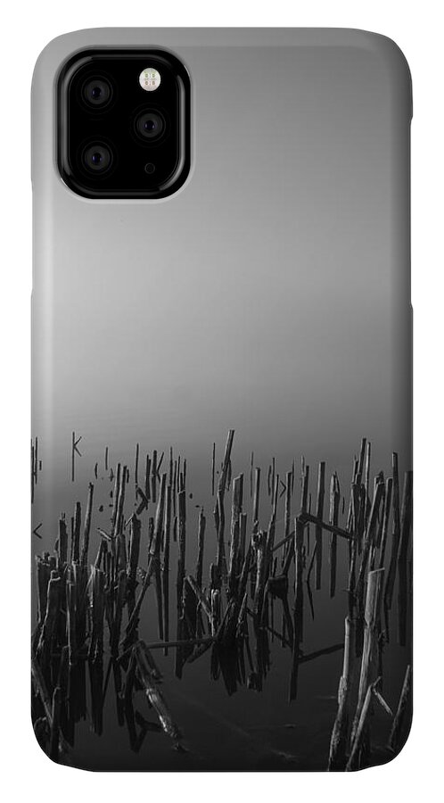 Reeds iPhone 11 Case featuring the photograph Reeds by Larry Bohlin