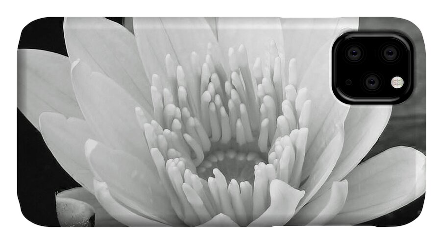 Water Lily iPhone 11 Case featuring the photograph Remember When II by Melanie Moraga