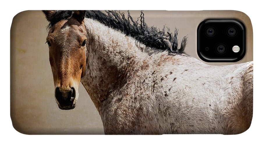Art iPhone 11 Case featuring the photograph Renegade by Lou Novick
