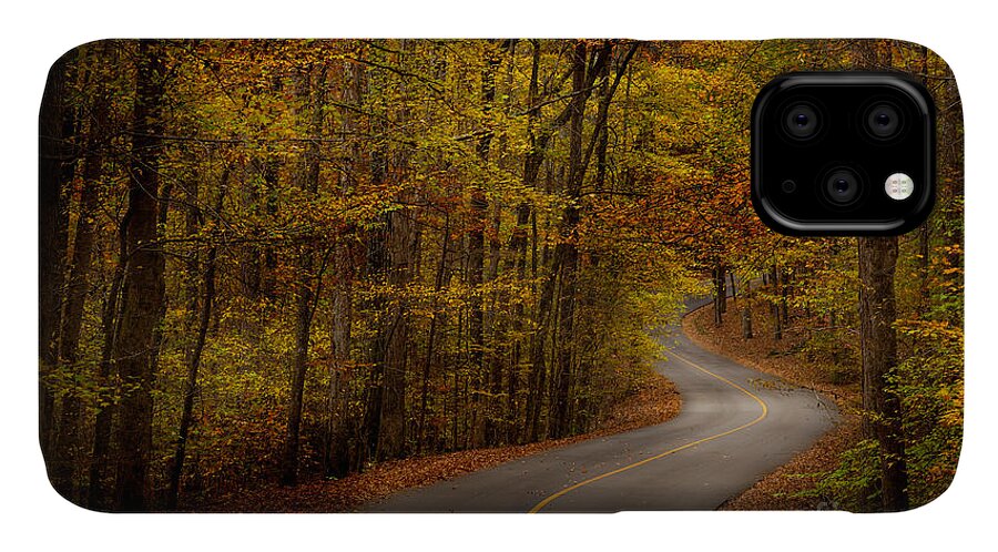 Tishomingo iPhone 11 Case featuring the photograph Road through Tishomingo State Park by T Lowry Wilson