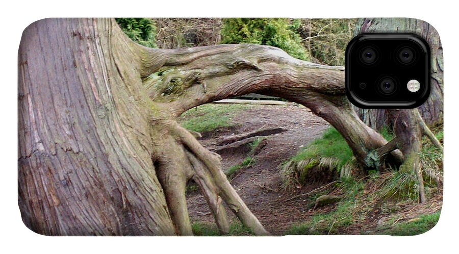Tree iPhone 11 Case featuring the photograph Roots of Strength by Mary Mikawoz