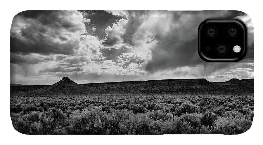Clouds iPhone 11 Case featuring the photograph Sage and Clouds by Steven Clark