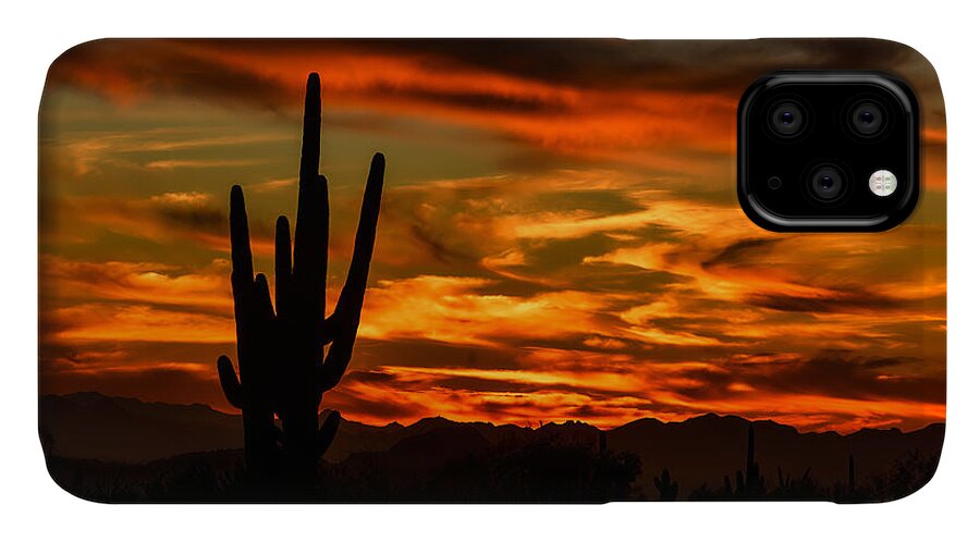Arizona iPhone 11 Case featuring the photograph Saguaro Sunset H51 by Mark Myhaver