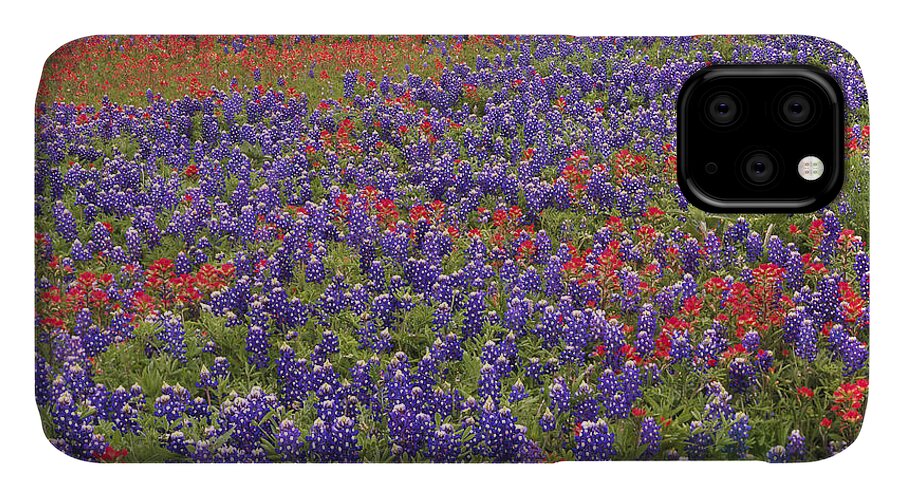 00170984 iPhone 11 Case featuring the photograph Sand Bluebonnet And Paintbrush by Tim Fitzharris