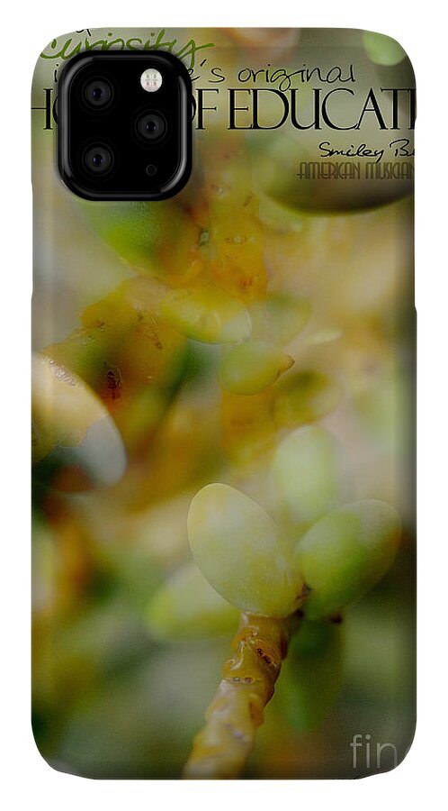 Palm Pods iPhone 11 Case featuring the photograph School of Curiosity 04 by Vicki Ferrari