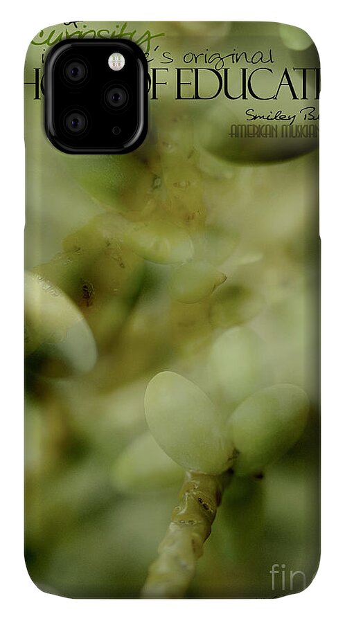 Palm Pods iPhone 11 Case featuring the photograph School of Curiosity 05 by Vicki Ferrari