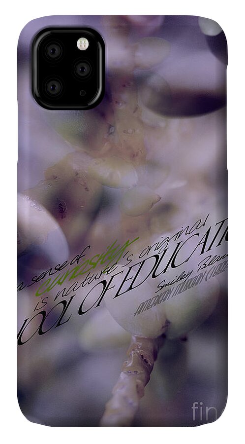 Palm Pods iPhone 11 Case featuring the photograph School of Curiosity 06 by Vicki Ferrari