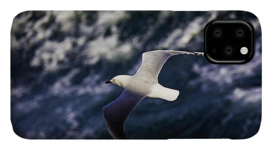 Seagull iPhone 11 Case featuring the photograph Seagull in wake by Sheila Smart Fine Art Photography