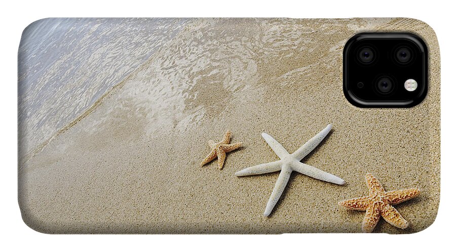 Afternoon iPhone 11 Case featuring the photograph Seastars on Beach by Mary Van de Ven - Printscapes