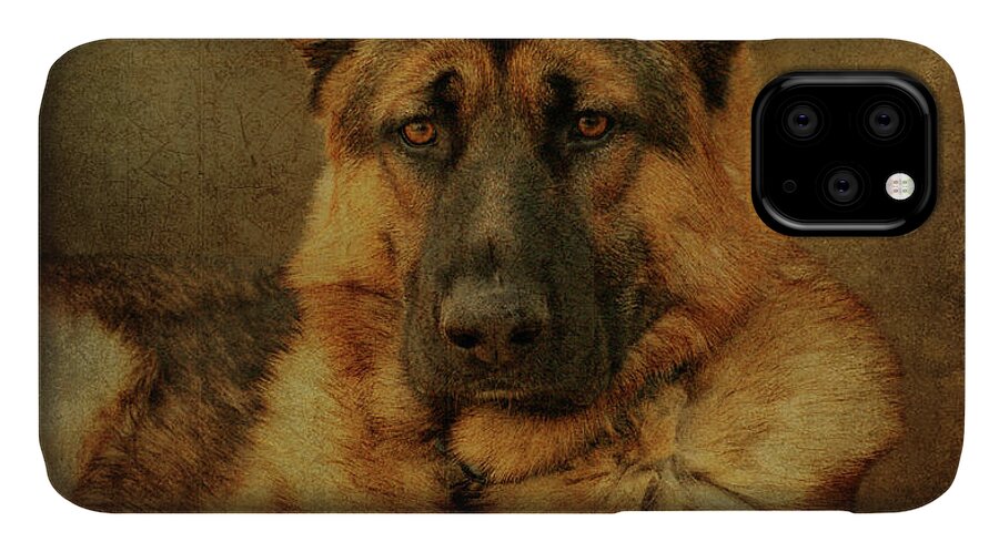 German Shepherd Dog iPhone 11 Case featuring the photograph Serious by Sandy Keeton