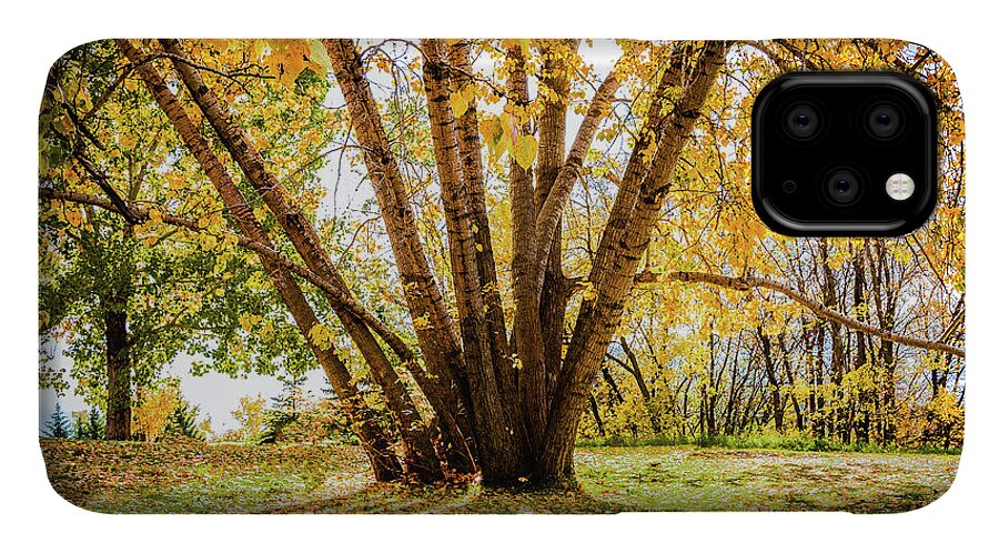 Landscapes iPhone 11 Case featuring the photograph Shadows by Claude Dalley