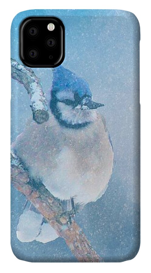Blue Jay iPhone 11 Case featuring the photograph Small Blue Jay in Snowstorm by Janette Boyd