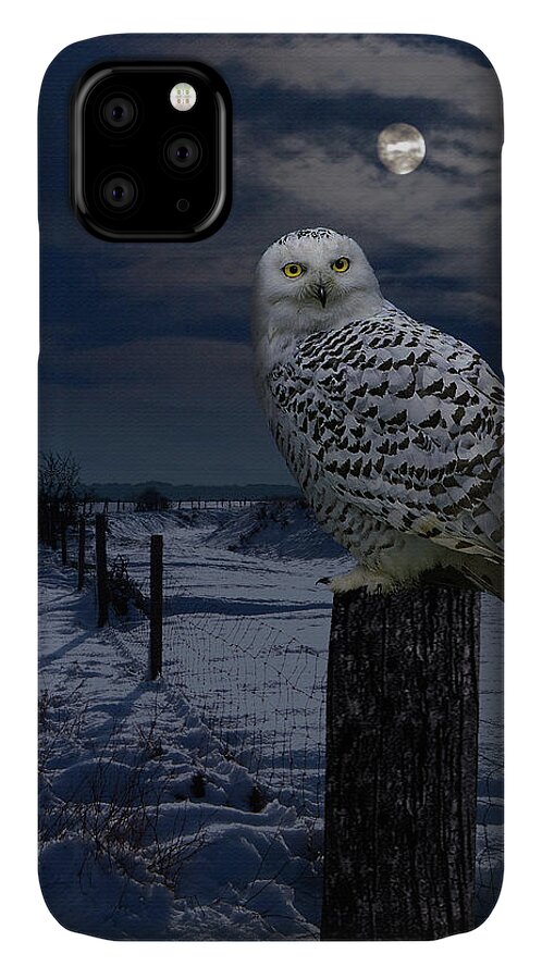 Owl iPhone 11 Case featuring the digital art Snowy Owl On A Winter Night by M Spadecaller