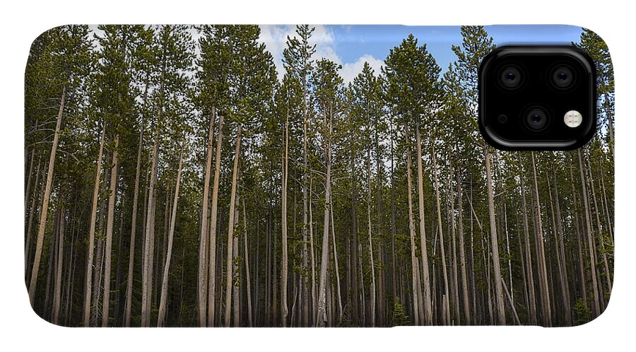 Trees iPhone 11 Case featuring the photograph Somewhere in Wyoming by Erik Burg