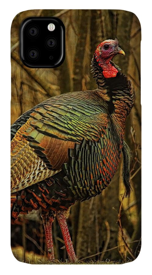 Wild Turkey iPhone 11 Case featuring the photograph Spring Longbeard by Dale Kauzlaric