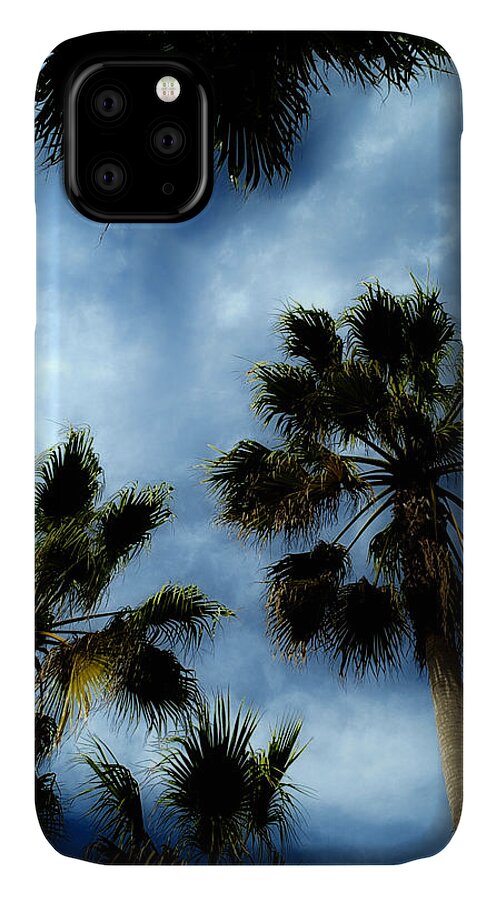 Palm iPhone 11 Case featuring the photograph Stormy Palms 2 by David Smith