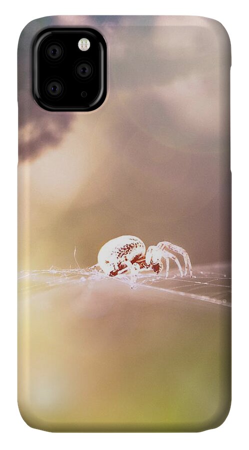 Spider iPhone 11 Case featuring the photograph Story Of A Spider by Jaroslav Buna