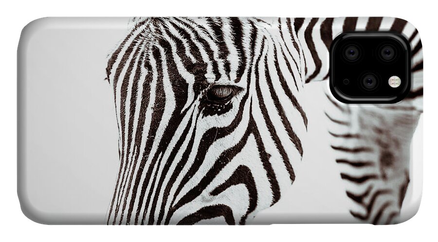 2016 iPhone 11 Case featuring the photograph Striped by Wade Brooks