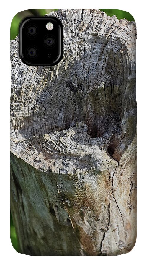 Tree iPhone 11 Case featuring the photograph Stumped by Kuni Photography