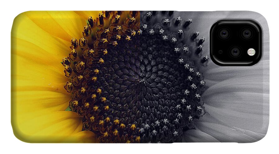 Sunflower Taken On The Equinox iPhone 11 Case featuring the photograph Sunflower Equinox by Natalie Dowty