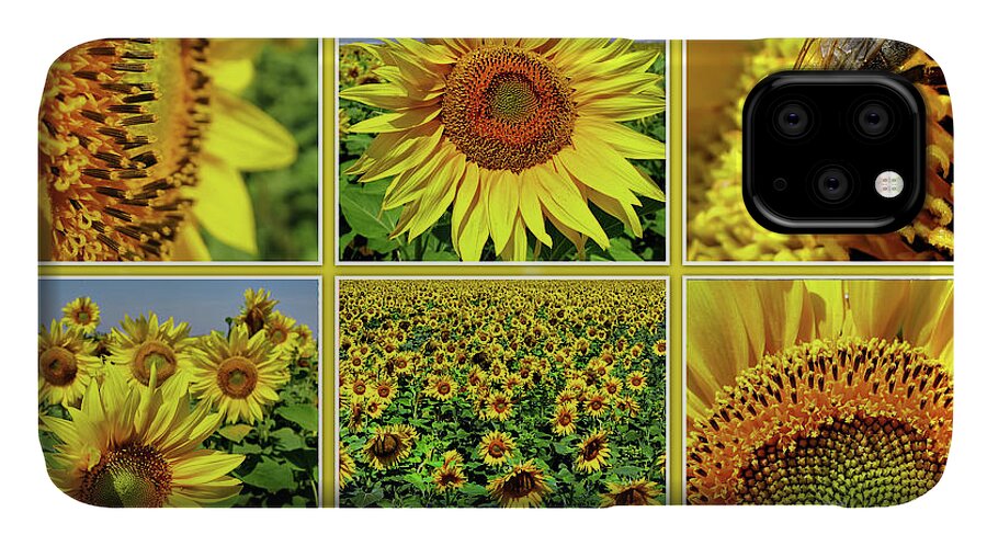 Sunflower iPhone 11 Case featuring the photograph Sunflower Story - Collage by Daliana Pacuraru
