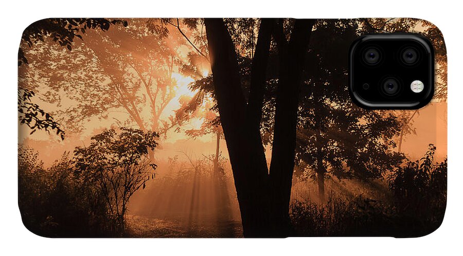 Illinois iPhone 11 Case featuring the photograph Sunrise in the Marsh 3 by Joni Eskridge