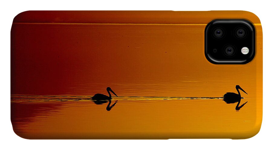 Pelicans iPhone 11 Case featuring the photograph Sunset Cruising by Laurie Search
