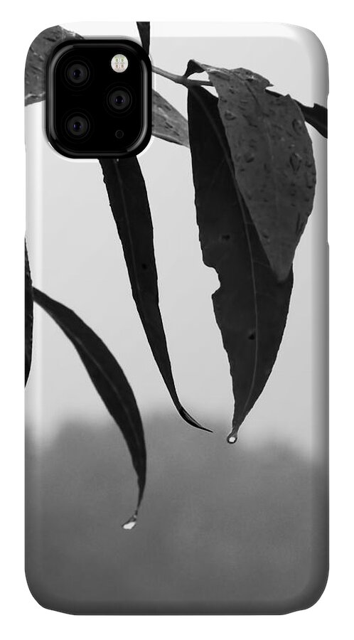 Macro iPhone 11 Case featuring the photograph Tears by Lauren Radke