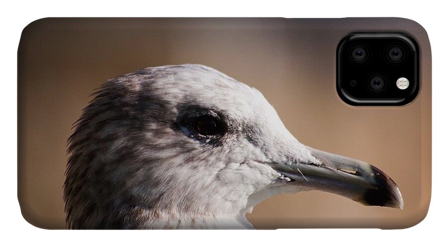 Bird iPhone 11 Case featuring the photograph The best side of the gull by Lora Lee Chapman