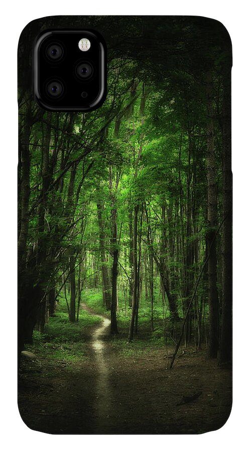Forest iPhone 11 Case featuring the photograph The Cathedral Arch by Andrea Kollo